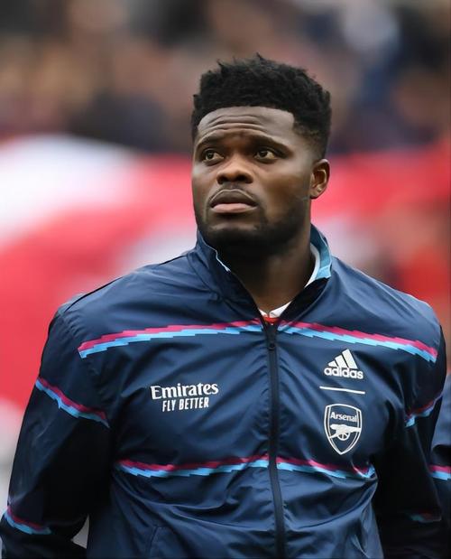 托马斯·帕尔特伊(图1)