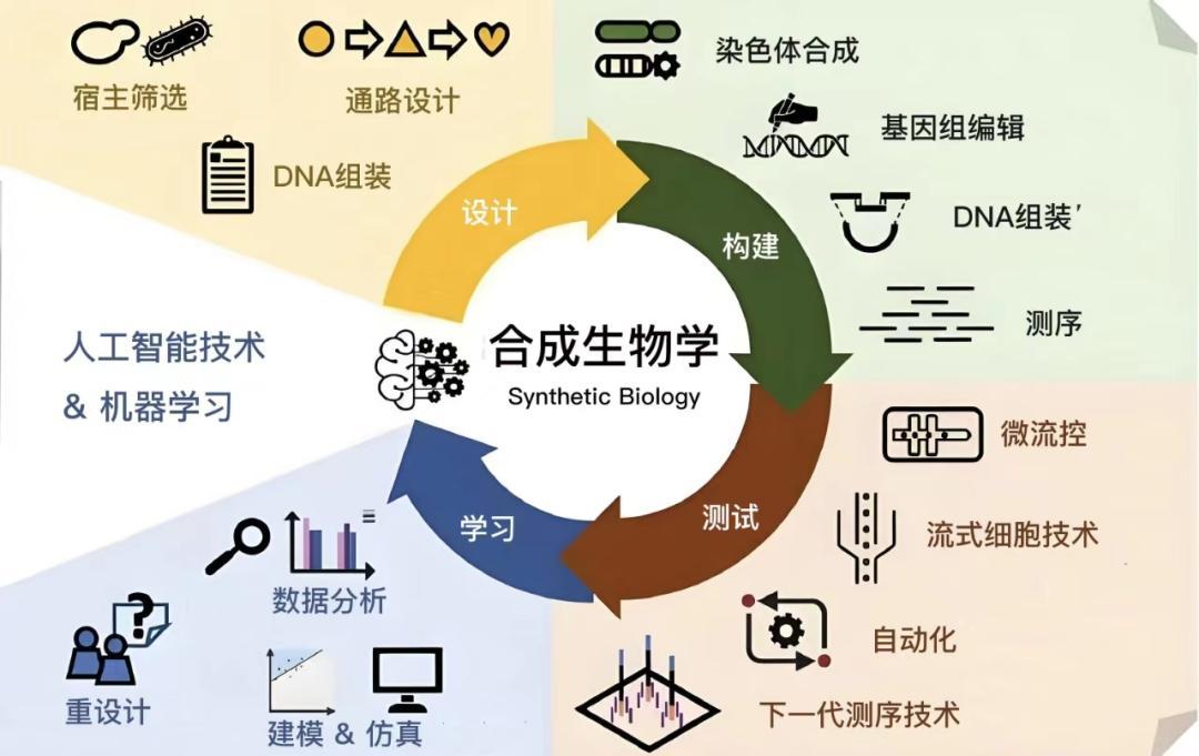 合成生物学(图4)