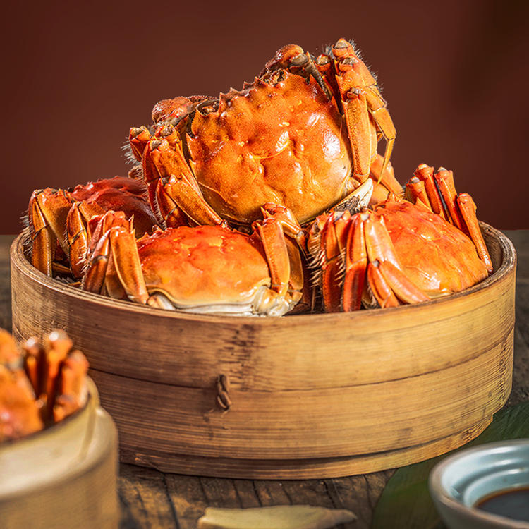 阳澄湖大闸蟹