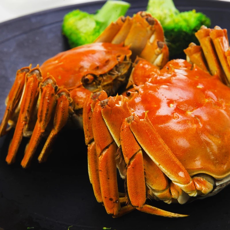 阳澄湖大闸蟹(图7)