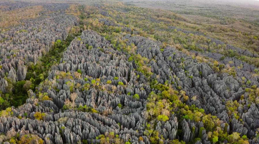 贝马拉哈石林(图3)