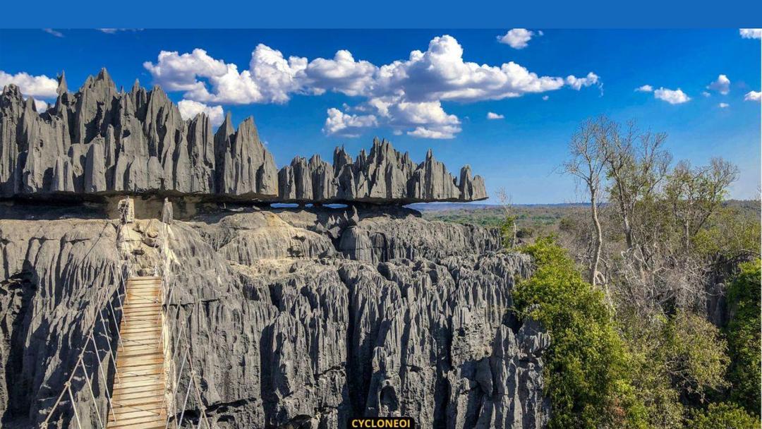 贝马拉哈石林(图1)