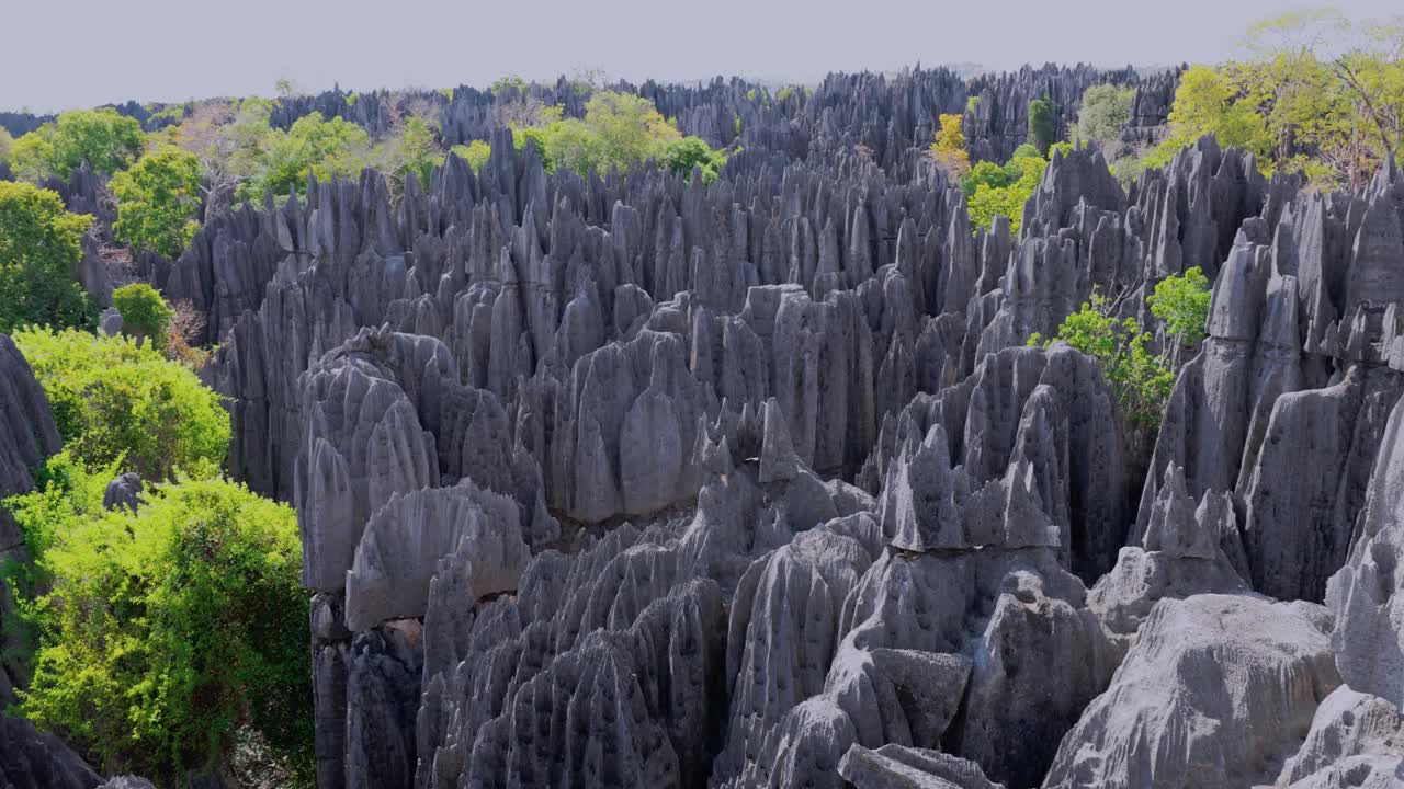 贝马拉哈石林(图2)