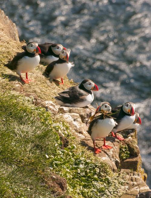 法罗群岛(图6) 法罗群岛(图6)