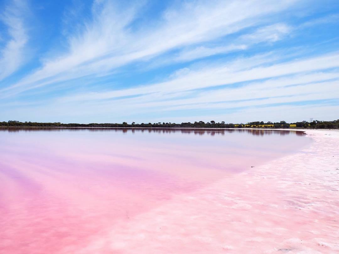 粉红湖(图1) 粉红湖(图1)