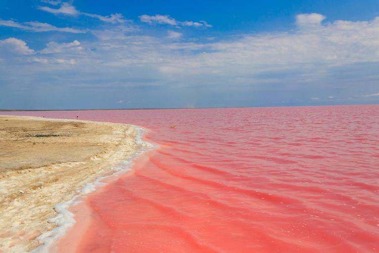 粉红湖(图2) 粉红湖(图2)