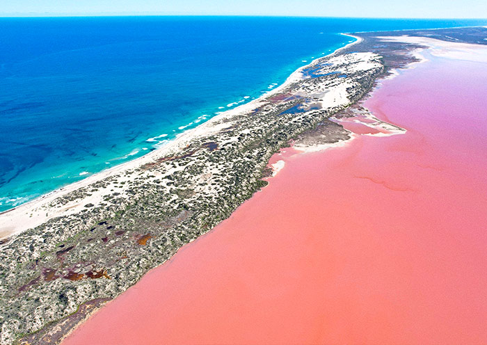 粉红湖(图5) 粉红湖(图5)