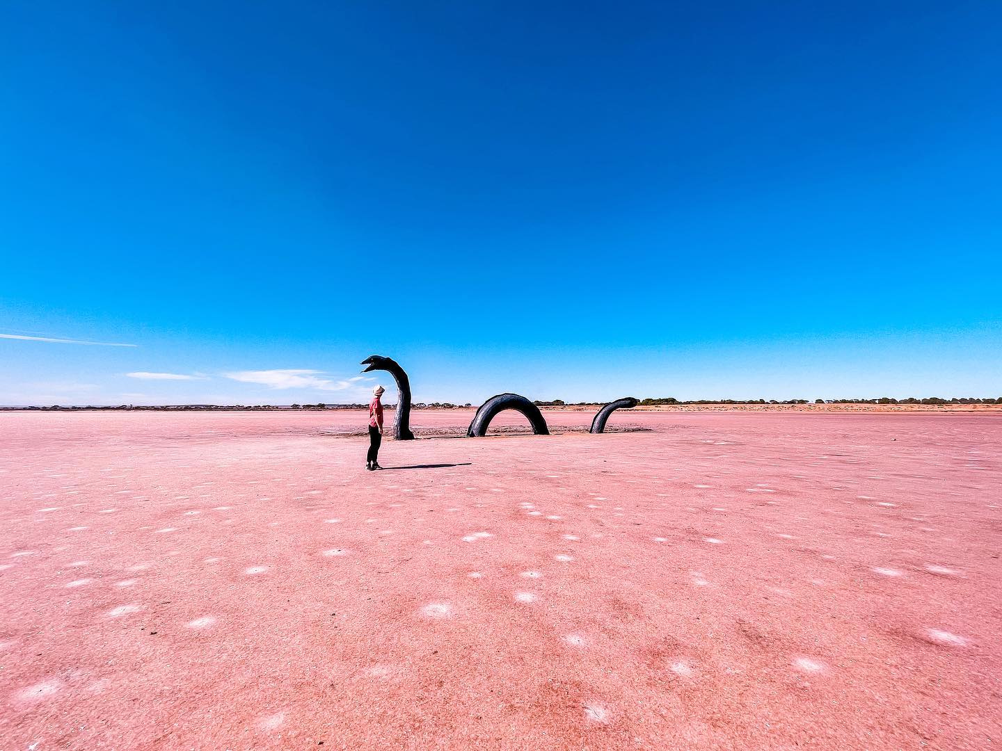 粉红湖(图6) 粉红湖(图6)