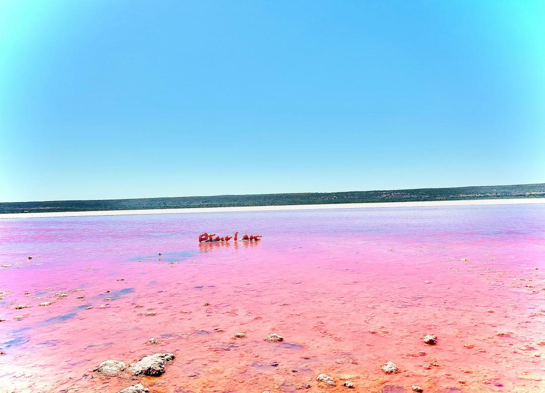 粉红湖(图4) 粉红湖(图4)