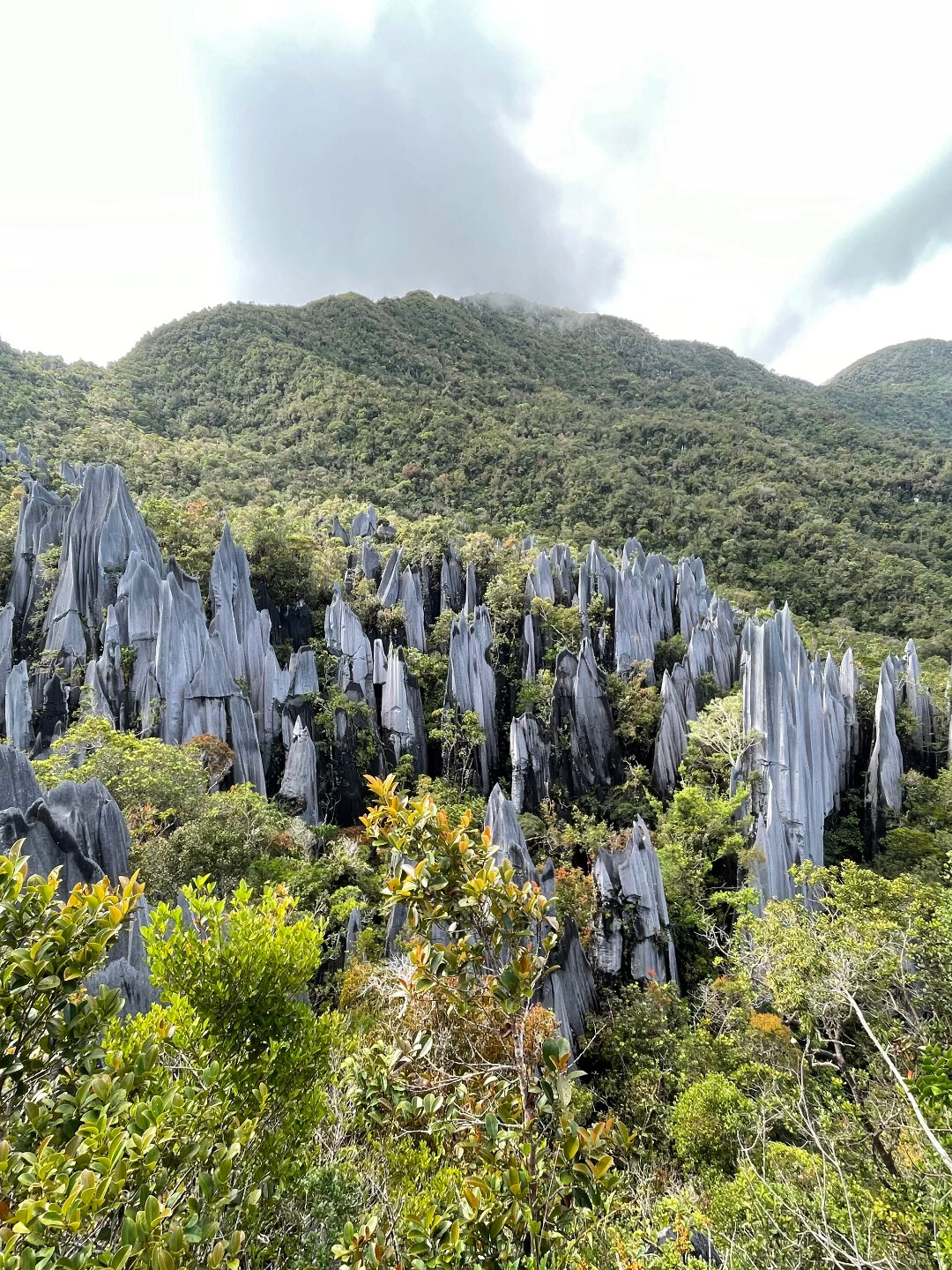 内姆鲁特山(图2)