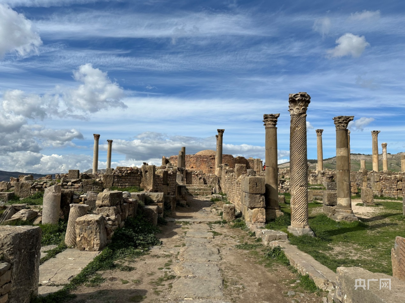 贾米拉(图1) 贾米拉(图1)