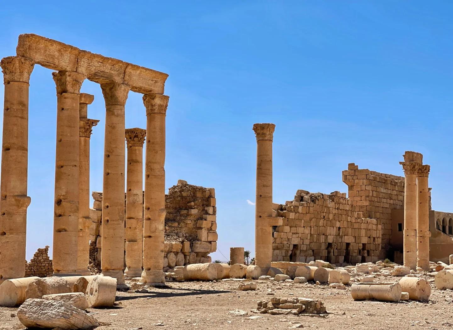 贾米拉(图3) 贾米拉(图3)