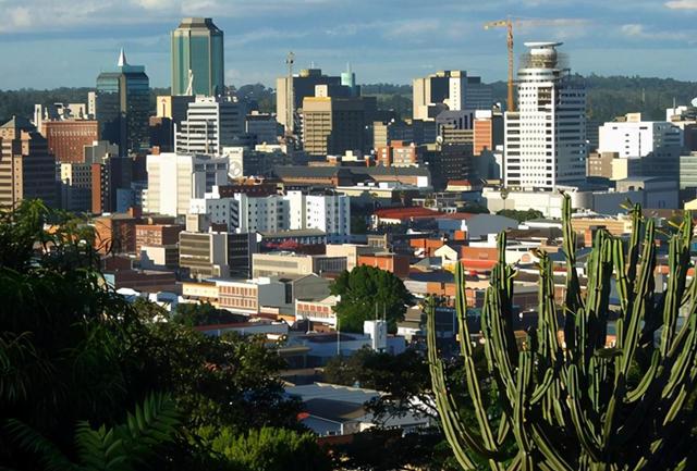 大津巴布韦(图1)