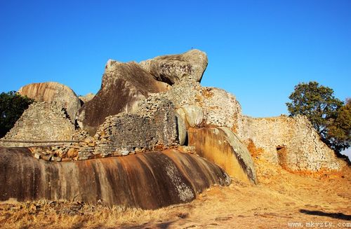 大津巴布韦(图2)