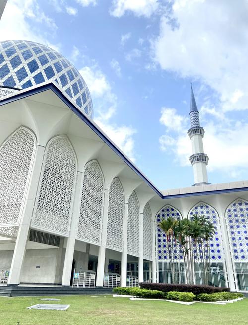 蓝色清真寺(图5)