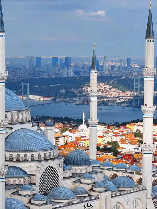 蓝色清真寺(图4)