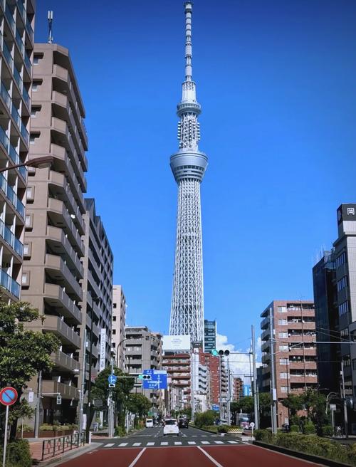 东京晴空塔(图3)