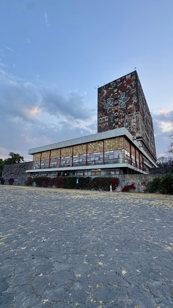 墨西哥国立自治大学中央图书馆(图2)