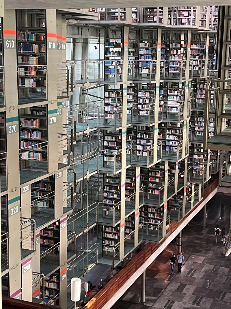 墨西哥国立自治大学中央图书馆(图5)