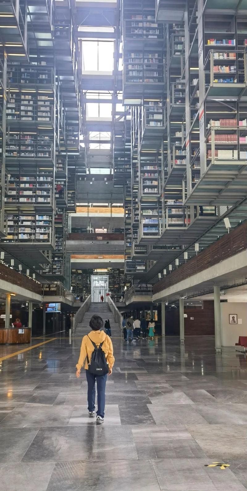 墨西哥国立自治大学中央图书馆(图3)