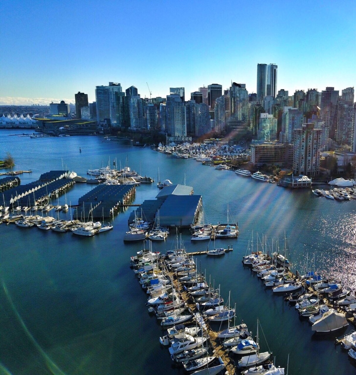 加拿大广场(图6)