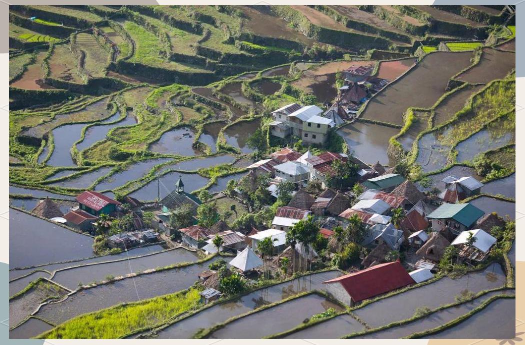 巴拿威梯田(图1)