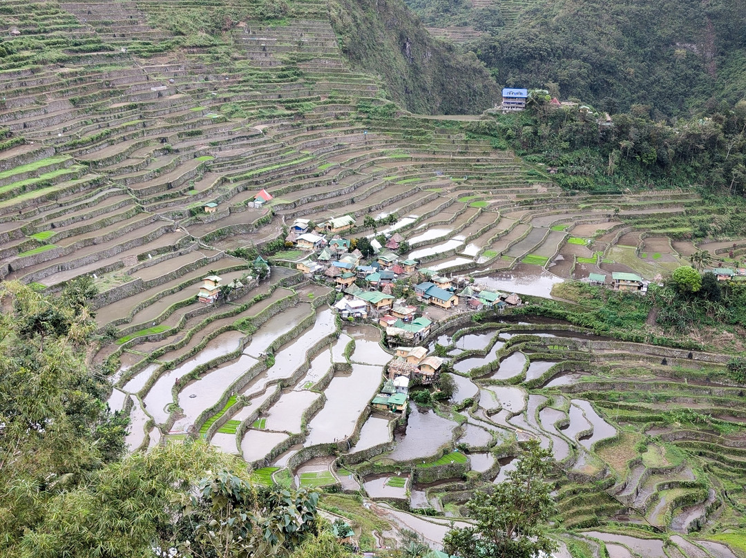 巴拿威梯田(图4)