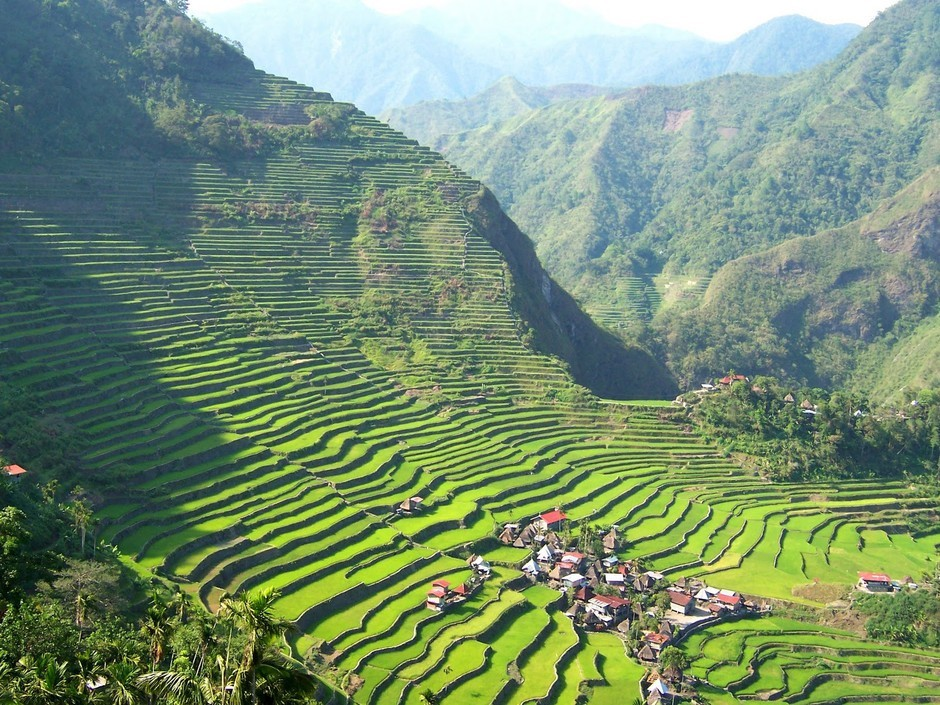巴拿威梯田(图5)
