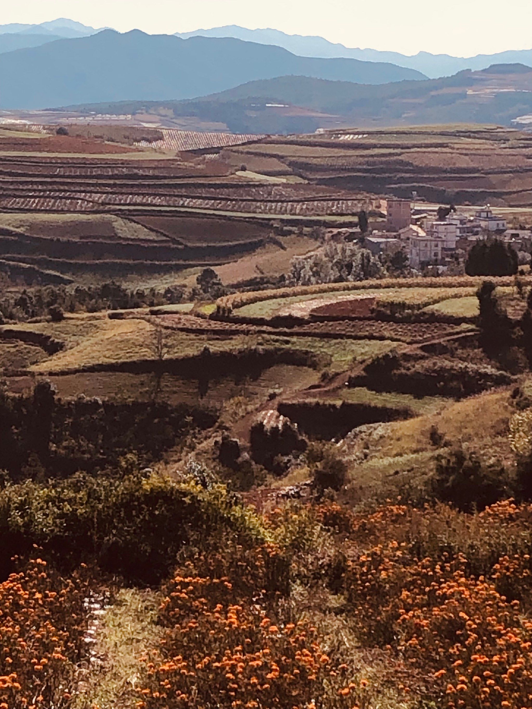 东川红土地(图1)