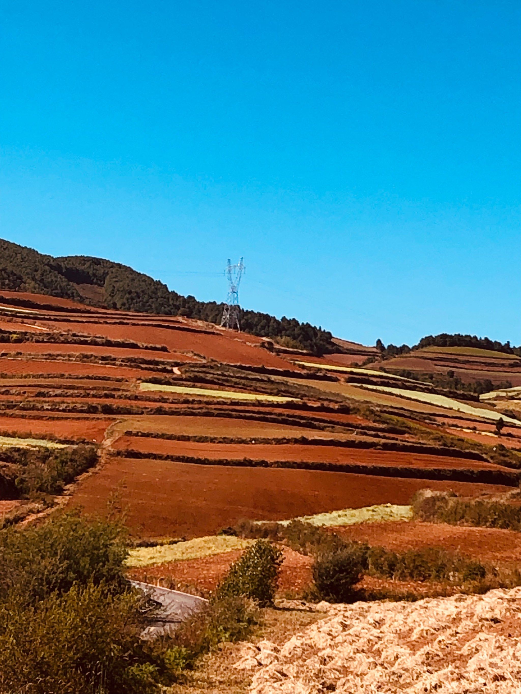 东川红土地(图3)