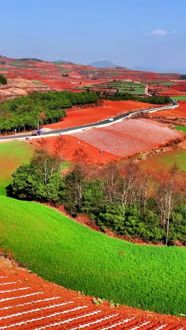 东川红土地(图4)