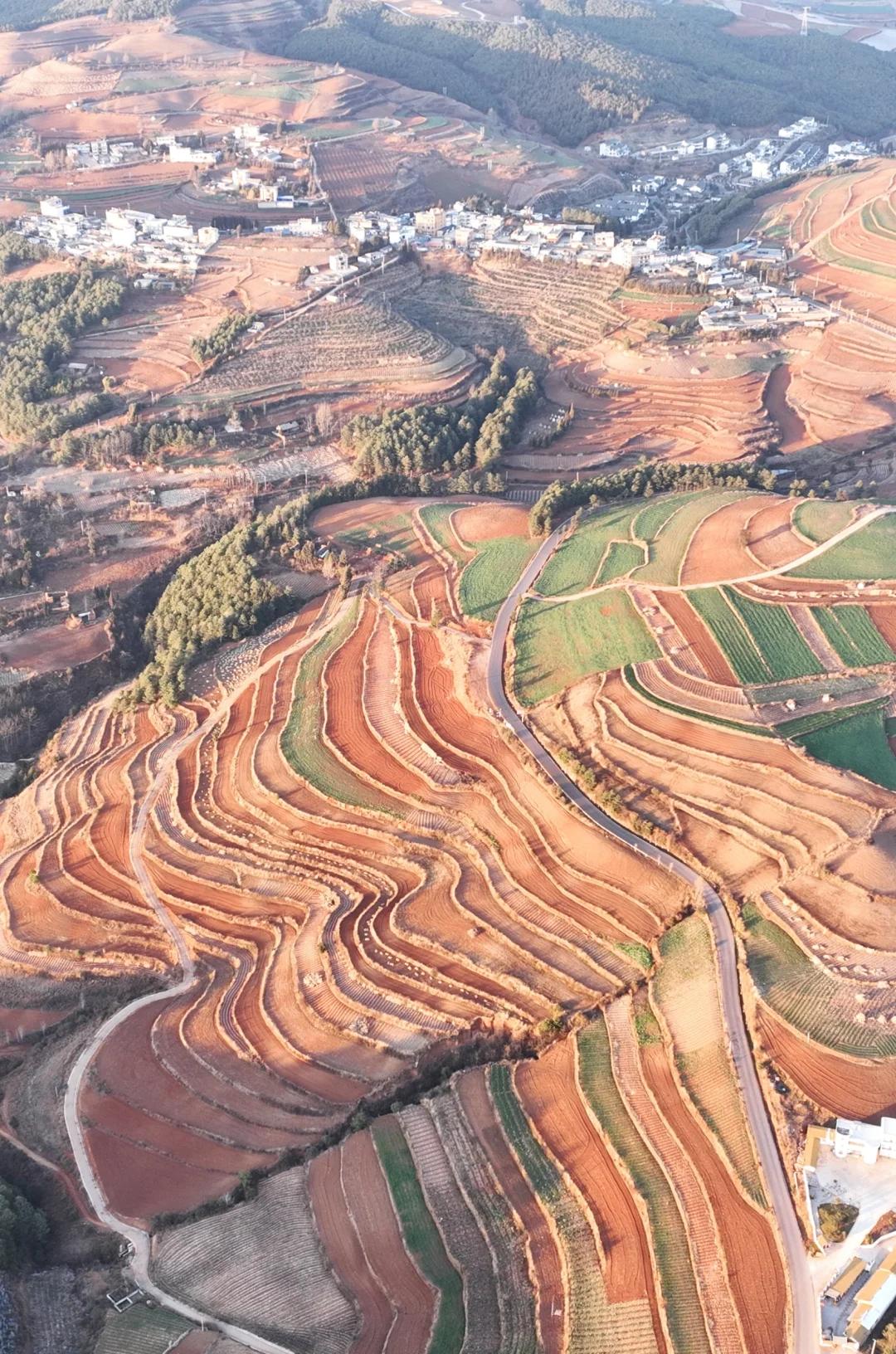 东川红土地(图6)