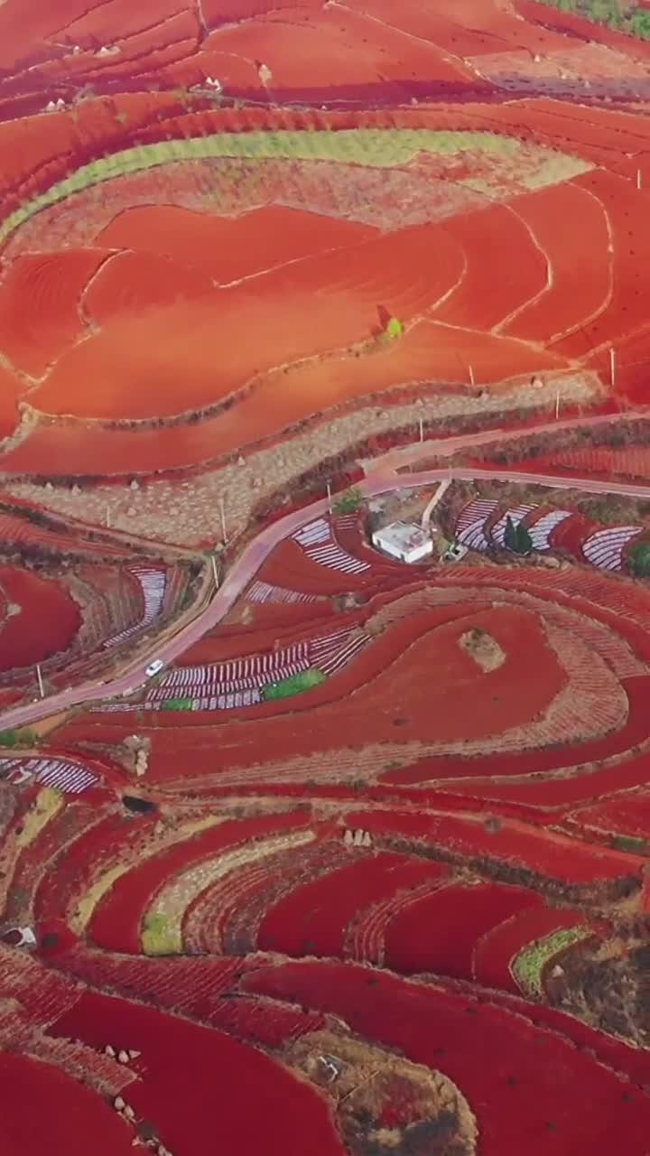 东川红土地(图5)