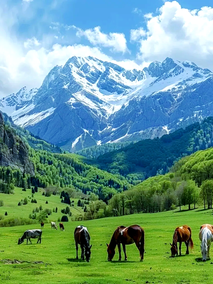 新疆旅游(图3) 新疆旅游(图3)