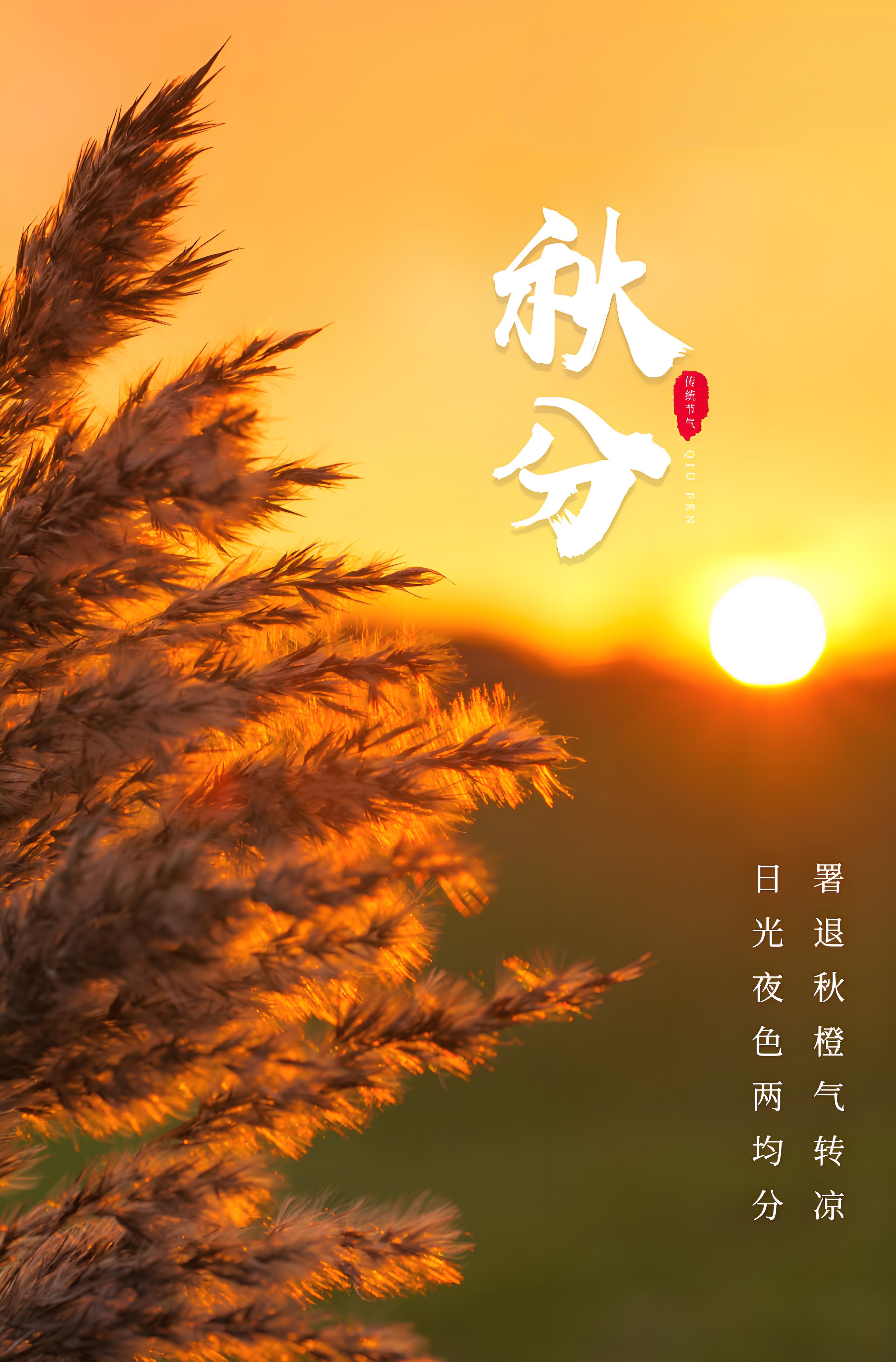 节气文化(图5)