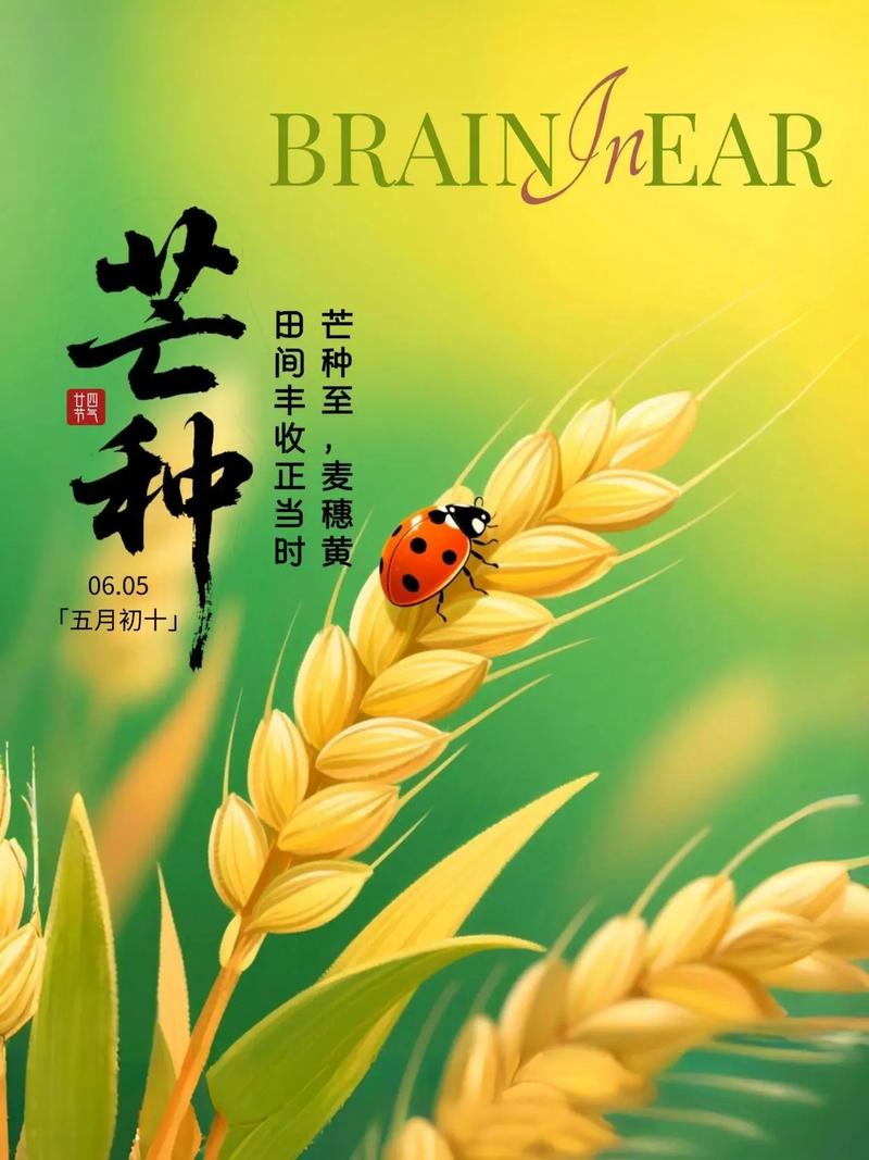 二十四节气(图3) 二十四节气(图3)