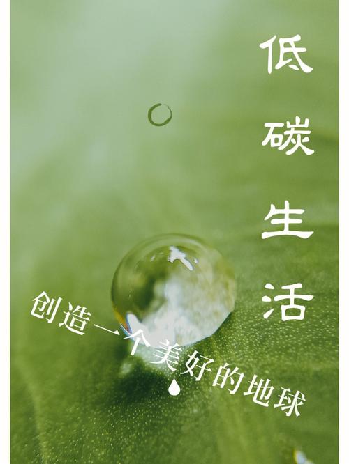 低碳生活(图4)