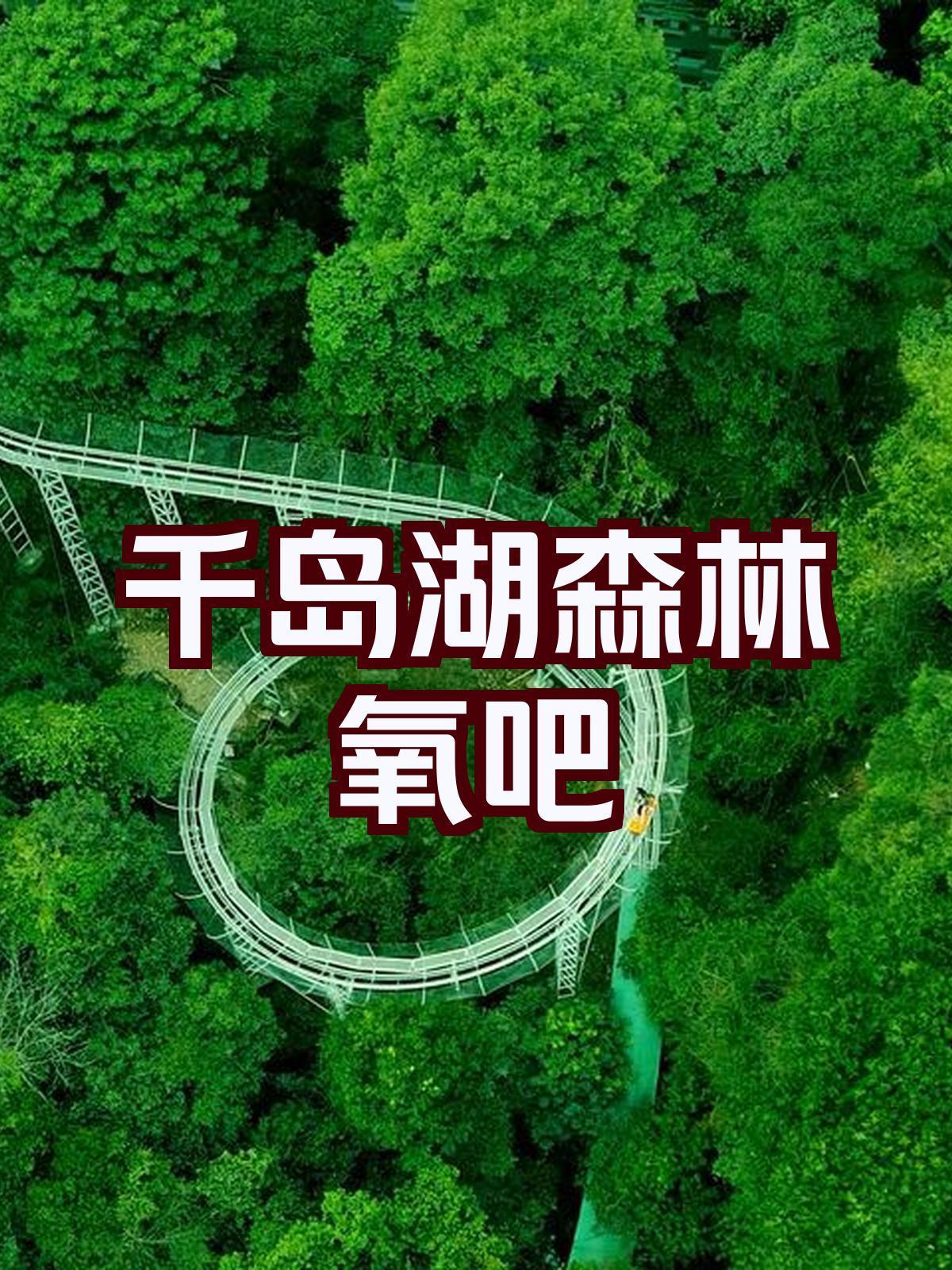 森林氧吧(图3)