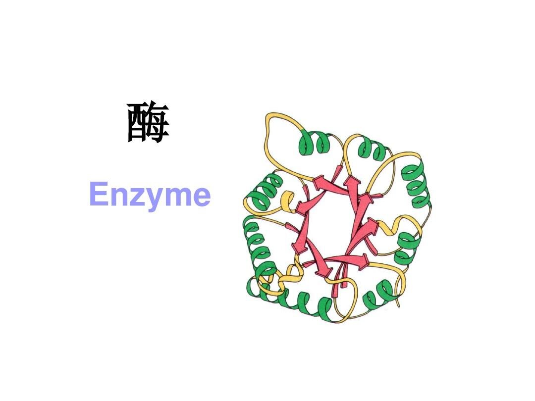 生物酶